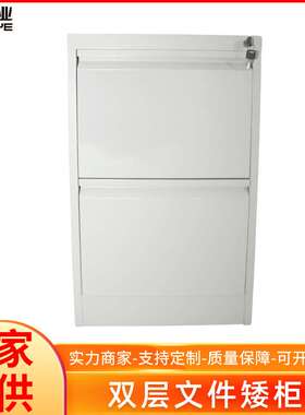 供应双层文件矮柜灰色档案文件双层柜冷轧钢板储物柜子规格可定