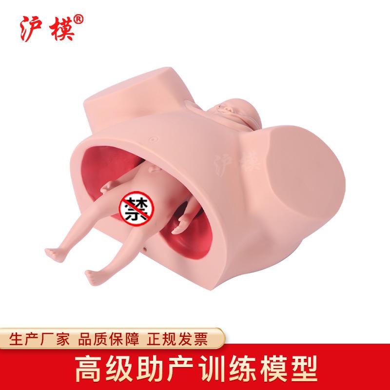 沪模HM/F8助产训练模型孕妇难产分娩示教学模具妇产科培训模型