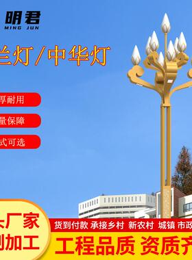 中华灯玉兰灯市政道路照明庭院景观LED户外工程广场市电路灯
