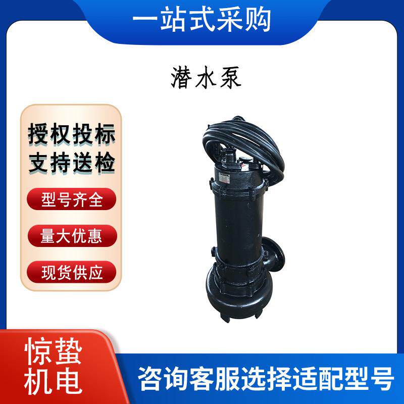 立式大功率潜水排污泵大流量无堵塞水泵高扬程抗洪潜污泵