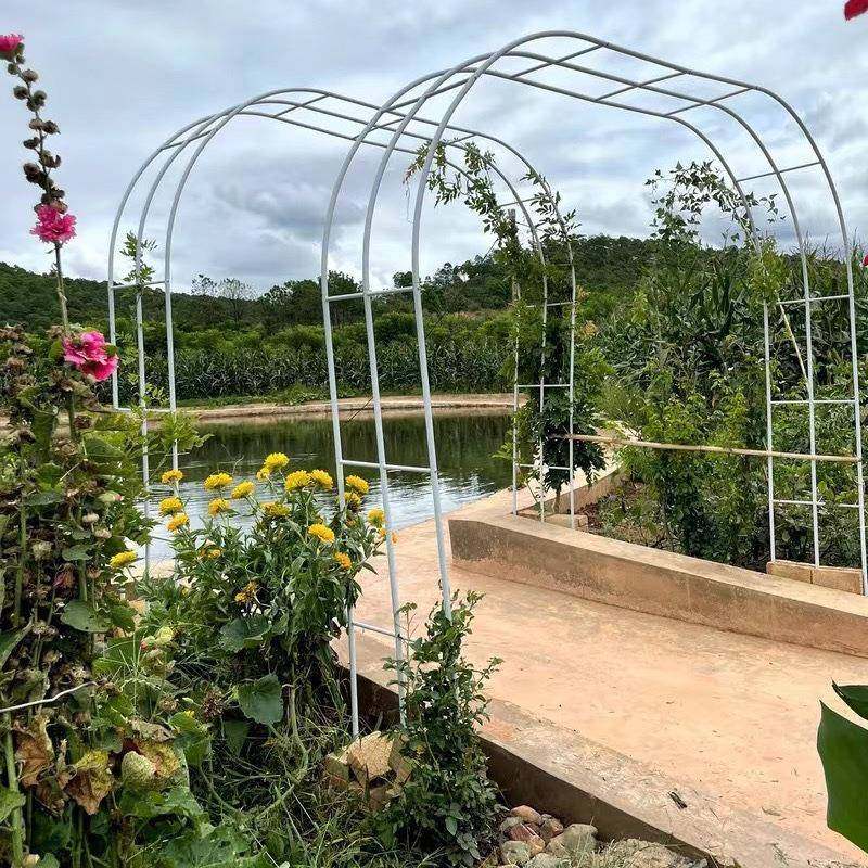 铁艺拱门花架月季爬藤架户外装饰棚架葡萄架子花园爬花架子拱新款,纺织面料/辅料/配套,纺织机械配件,淘宝优惠券,粉丝福利购,淘宝优惠卷