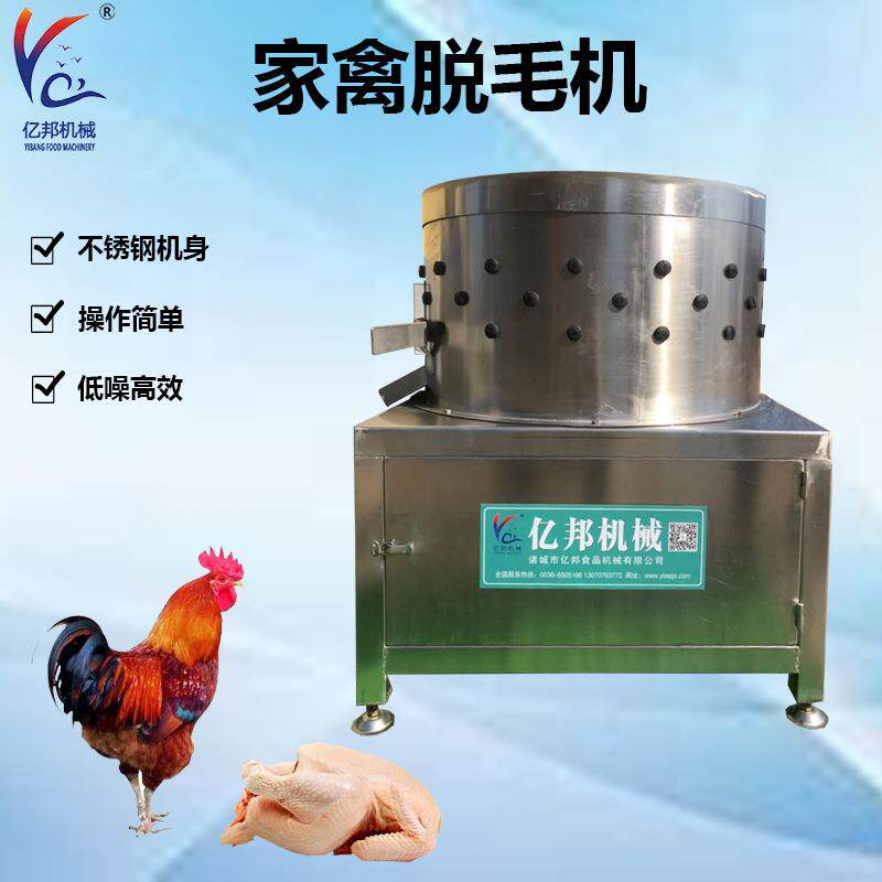 全自动电动拔毛机家用商用脱毛机卧式多功能脱毛机控制防水设计