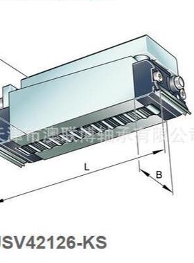A滚动滑块RUSV42126-KSRUSV30105-KSRUSV60134-KSIN206NPPB