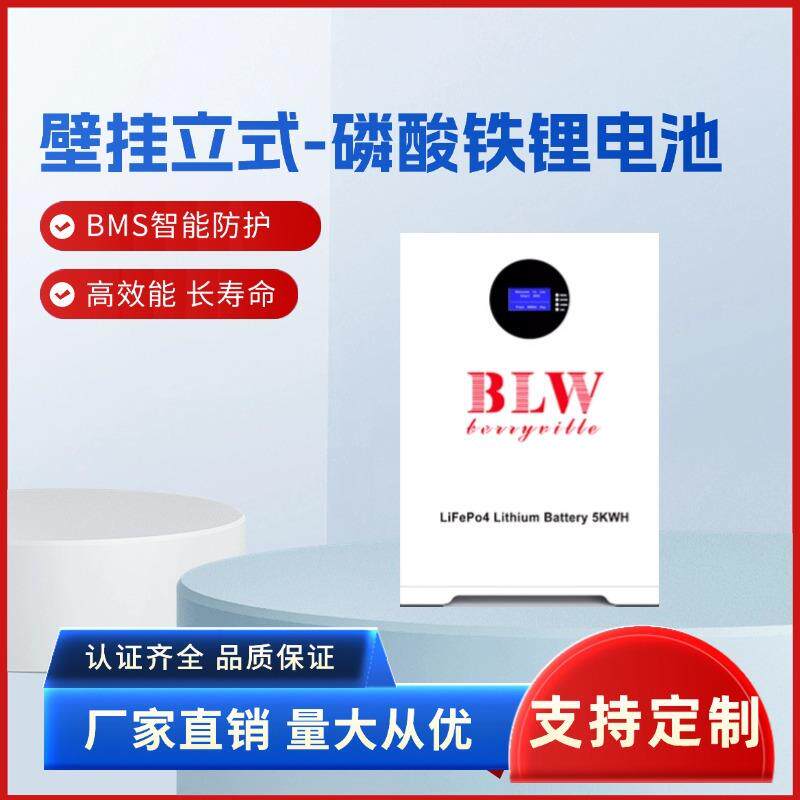 壁挂式51.2V100AH5度电磷酸铁锂家庭储能电池太阳能离网备用电