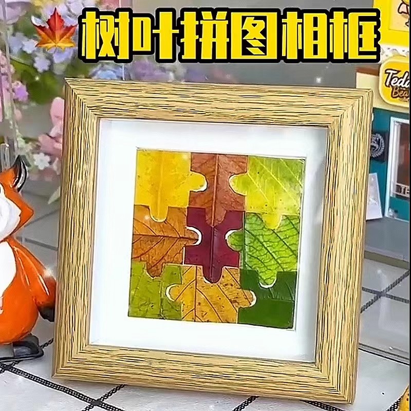 落叶树叶标本相框手工diy