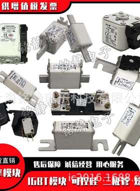 170M3965170M3966170M3967巴斯曼170M3968熔断器保险丝170M3969