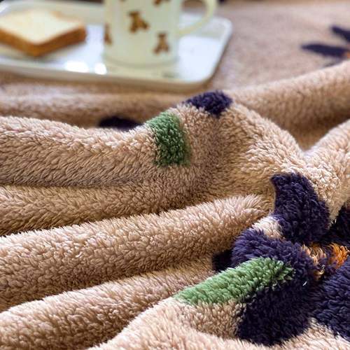 4V5O冬F77H9599棉珊瑚绒毛毯办公室午睡小毯子保暖舒绒床单绒毯午