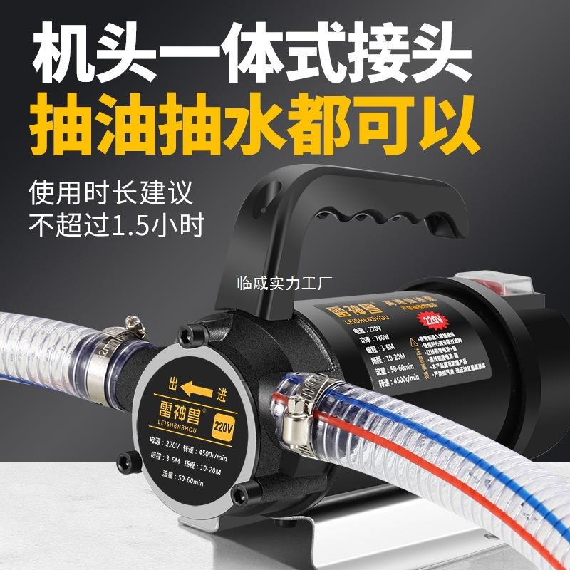 油水两用199抽泵电动2抽水泵12V24V2高0V伏直流压抽油水泵加油机