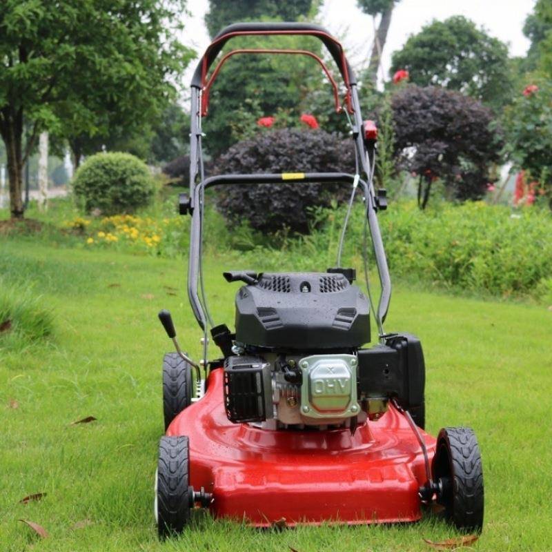 走式汽油割草机业家草用草坪碎草PDW除草机手推集框草物自坪机