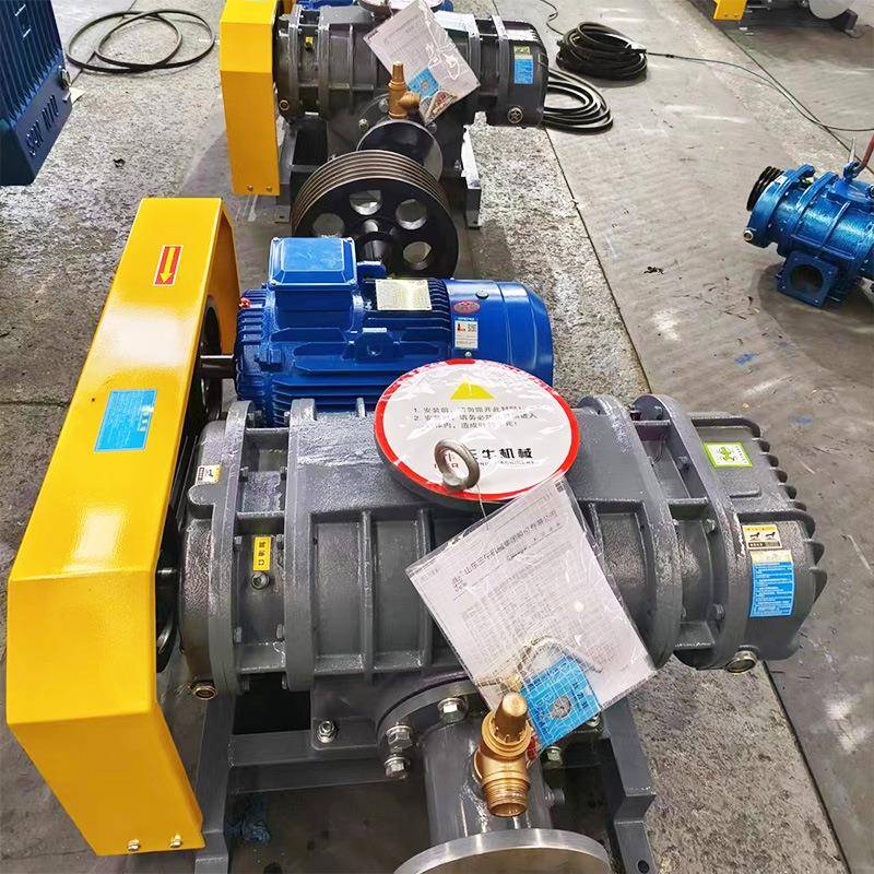 三62牛龙铁型罗茨机风式气力输鲁真空泵鼓风送机污水处理LT罗茨风