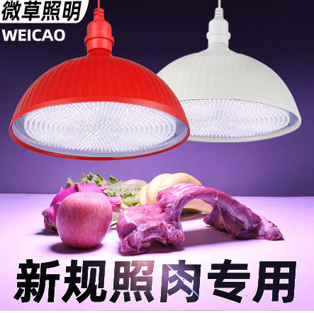 2023全光谱LED生鲜灯猪肉灯卤菜熟食超市鲜肉水果海鲜灯专用白光