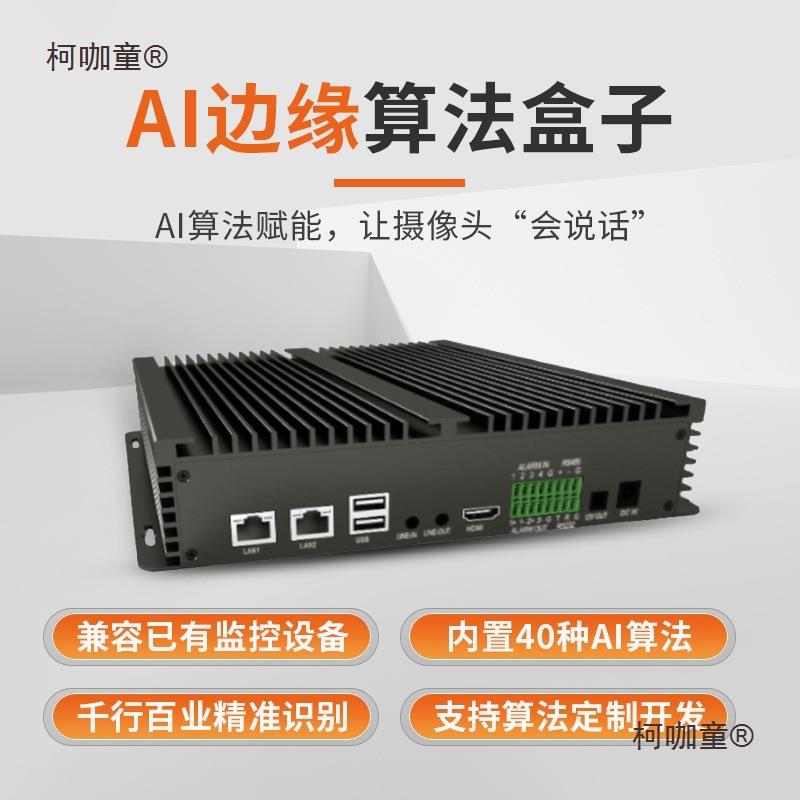 AI边缘计算盒子8路40种算法视频分析工地加油站社区安防监麦太保
