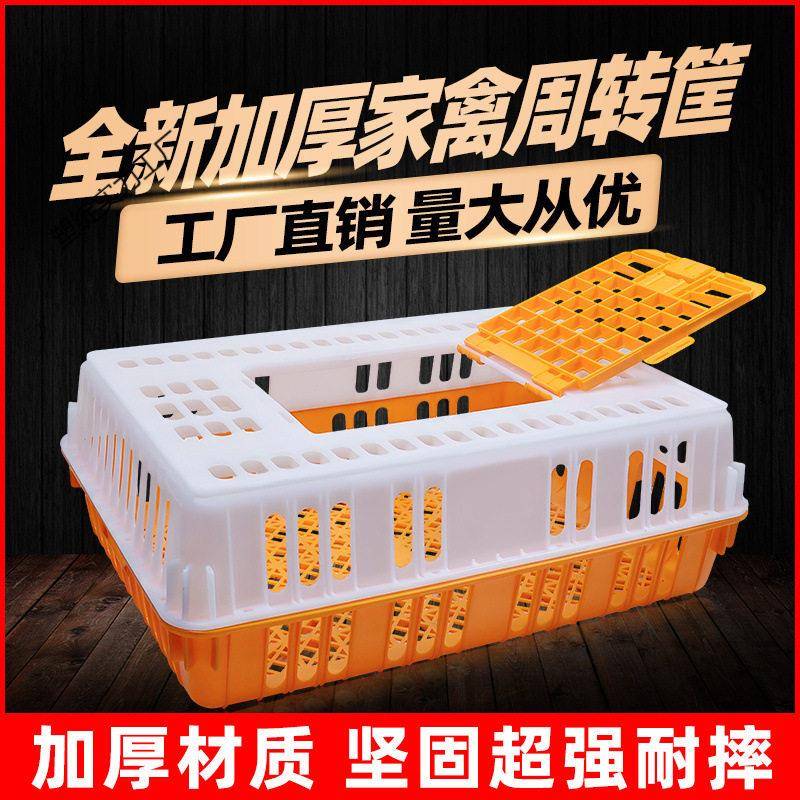 鸡笼运输笼大号加厚塑料家禽坚固不变形鸡鸭鹅兔鸽周转笼子鸡笼门