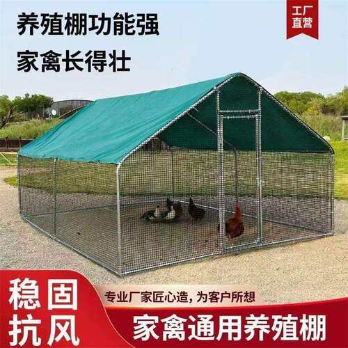户外鸡棚大型养殖棚特大号家禽养鸭鸡笼鸽笼孔雀防雨家用搭建鸡舍
