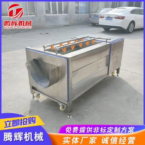 直供根茎类土豆清洗毛辊脱皮机 全不锈钢萝卜清洗去泥机 厂家供应