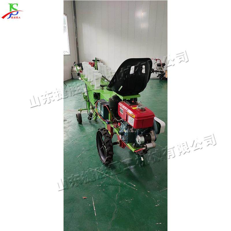 用两行蔬菜移机栽型农汽油动力栽苗机座驾式小农作物秧苗MDK栽苗,农机/农具/农膜,播种栽苗器/地膜机,淘宝优惠券,粉丝福利购,淘宝优惠卷