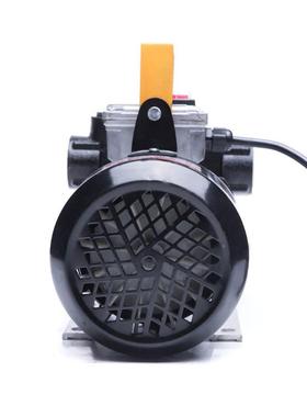 CDI油22V大功率柴油油抽0油泵YB-60550W煤功率泵加油配件