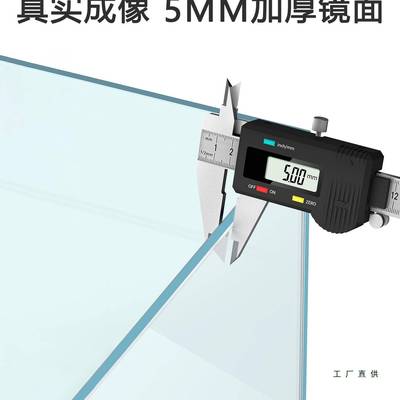 州舞苏蹈镜家用落地镜专业全身镜大尺寸专业985超健身高清镜无铜