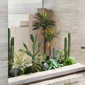 网尚红时仿大真仙人掌QUA干花室内摆造景件商场型装 饰场景植物布