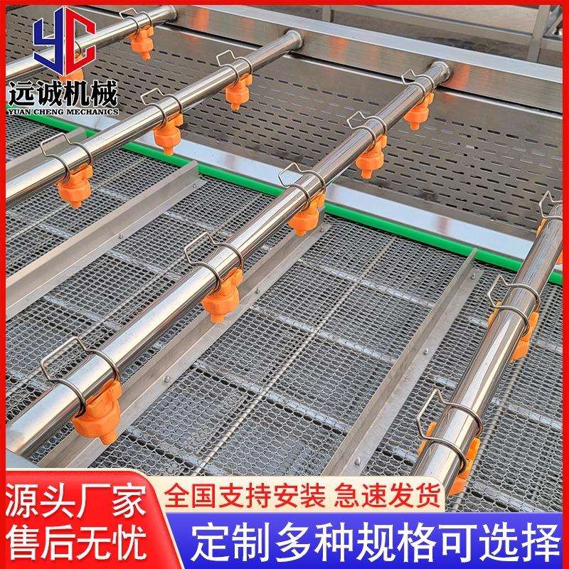 全自动果蔬清洗设备全自动茄子清洗流水线金针菇清洗设备