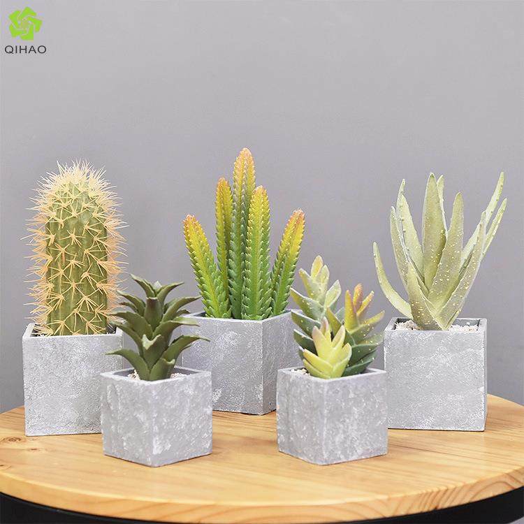 仿真绿植热带仙人掌家居摆件人造小盆栽装饰仿真植物仙人掌,节庆用品/礼品,新娘配件,淘宝优惠券,粉丝福利购,淘宝优惠卷