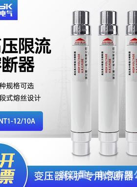 浙江雷一高分段能力限流熔断器XRNT1-12/25A变压器保护高压熔断器