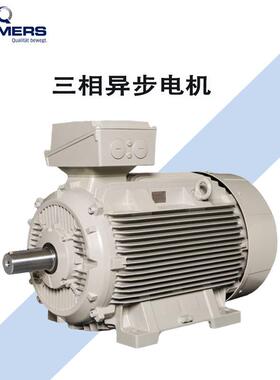 德国LAMMERS系列三相异步铝壳机械设备电机IE3能效节能静音电机