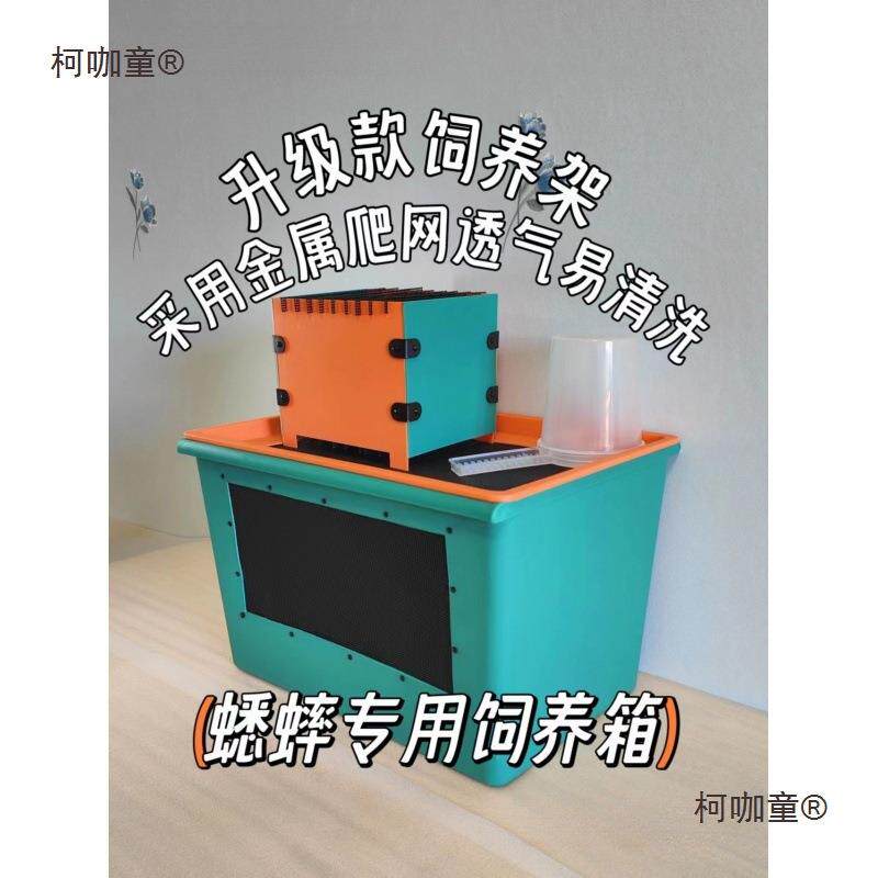 蟋蟀饲养箱蟋蟀养殖架蟋蟀养殖盒爬宠携带箱爬虫箱蛐蛐油葫麦太保