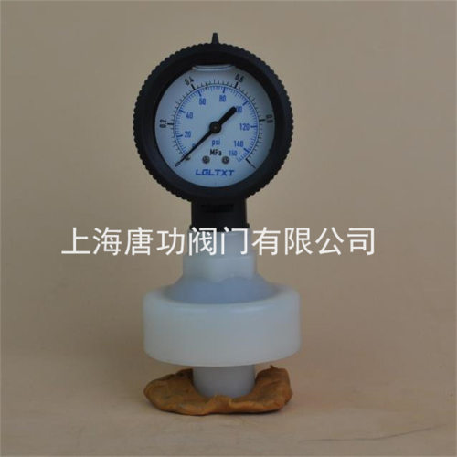 PP全塑料防腐隔膜压力表20mmDN15 4分内丝连接耐腐蚀耐震耐温80度