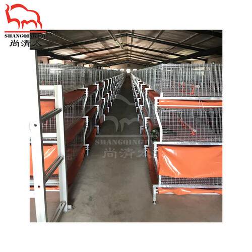 元宝肉鸡笼 肉鸡饲喂笼具 养鸡笼子 鸡用成长笼 畜牧养殖设备
