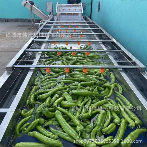 果蔬气泡清洗机 水果蔬菜清洗设备 全自动大型商用连续辣椒 清洗