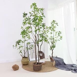 仿仿真绿植室内QS-2101盆厅栽真树马木醉假绿植客落地摆件仿生吊
