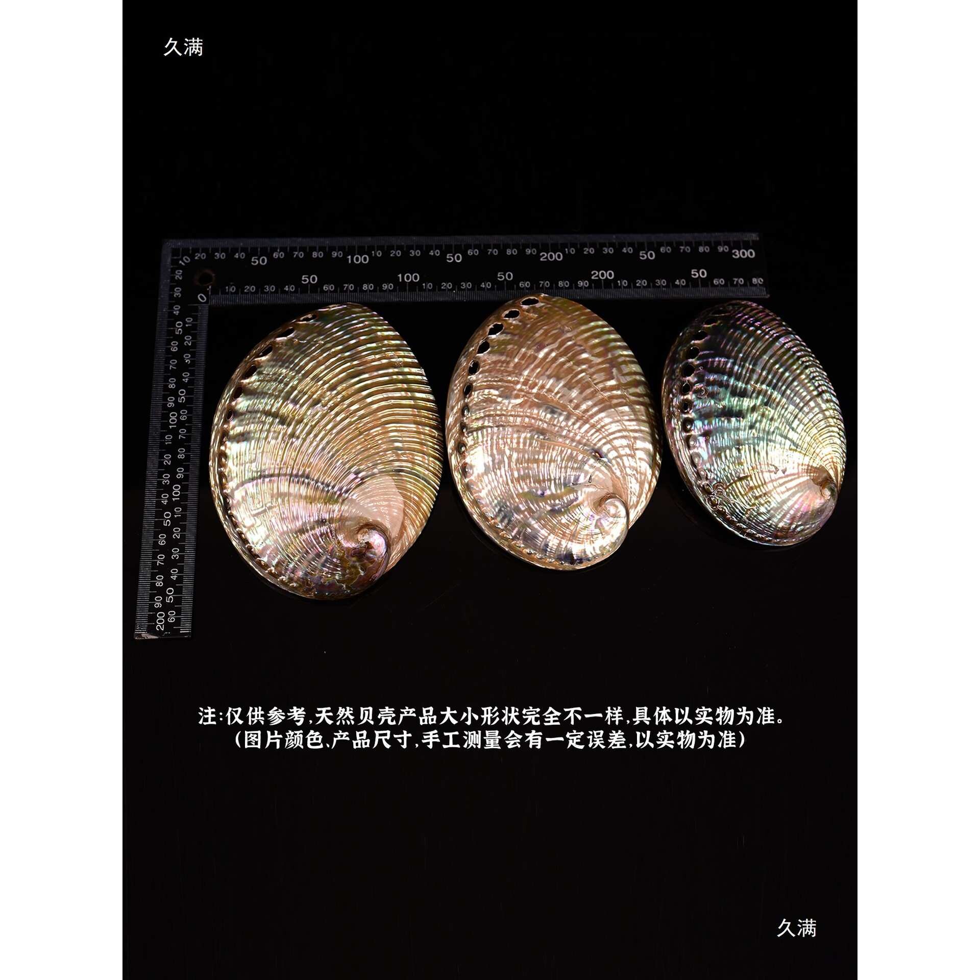 墨西哥鲍鱼壳抛光贝壳家居摆件入户钥匙托鼠尾草烧盘