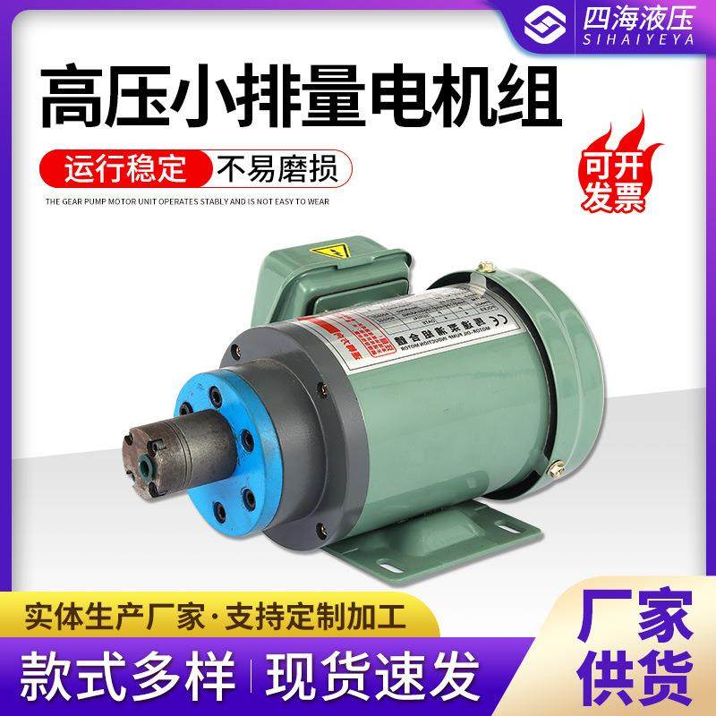 高压小排量电机组 油泵电机组 锯床齿轮泵电机组 非标小排量来图