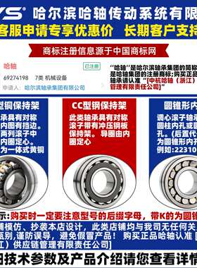 RYS 哈轴传动 24024 24026 24028 24030 CA CC/W33