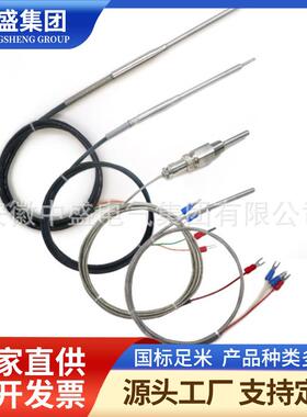 双支端面热电阻WZPM2-001压片式直径6*20mm长10m