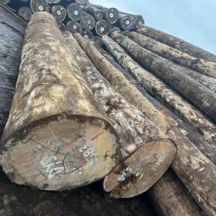 红坚木巴新红坚坚木红坚原木可加工一手
