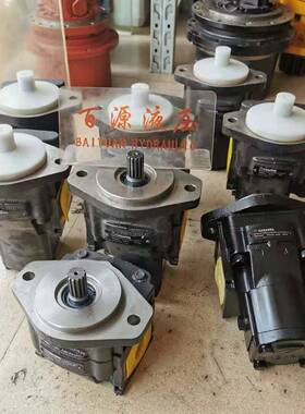 意大利卡斯帕CASAPPA齿轮泵KP30.31D0-A8K9-LMD/MB-N-KSC-VN