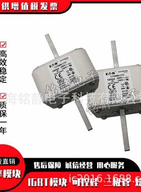 170M60176170M600181706M019170M6020巴斯曼熔TDN断器现货170M21