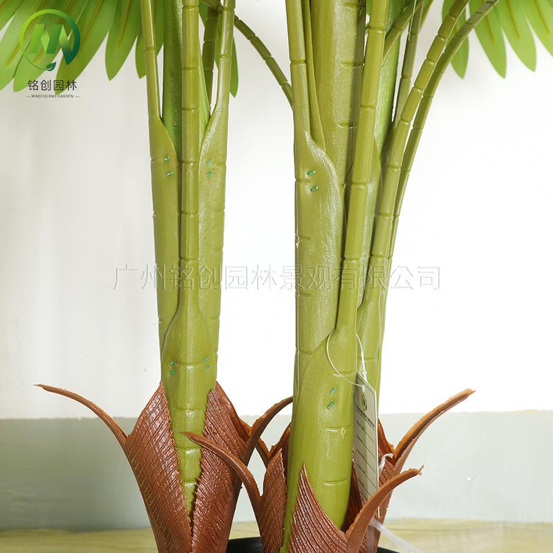 仿大型植物装饰盆栽扇葵485加州蒲室内客厅网红葵假树设真叶扇摆
