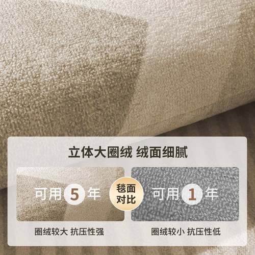 客大面积全铺厅沙发卧室地垫毯免打理防水擦NIK免可加厚异形洗防