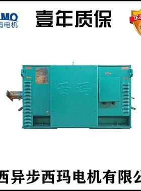 西安电Y630-6机厂Y630-W14060K10000V高压电机笼型转子三相异步电