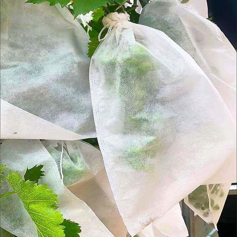 葡萄袋带抽绳虫套育果自2袋水果袋子ALT防水桃子杨桃露防天保X0