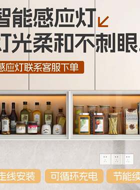 厨合房铝金吊纳柜下调料柜玻璃门收储物柜子置物F99S868J墙上架壁