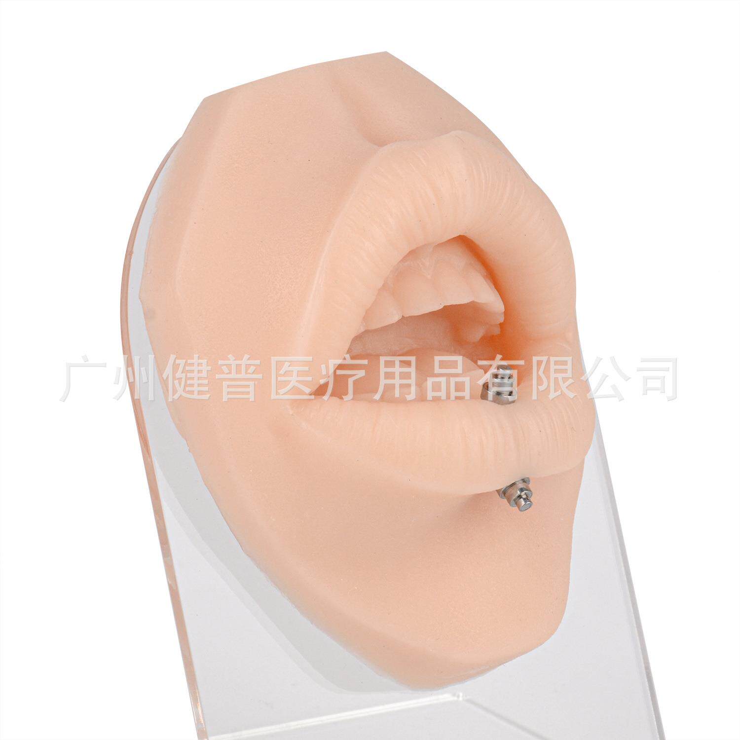 仿真体嘴巴孔钉模型缝人合穿穿刺练习嘴巴模型嘴钉唇无品牌/展示