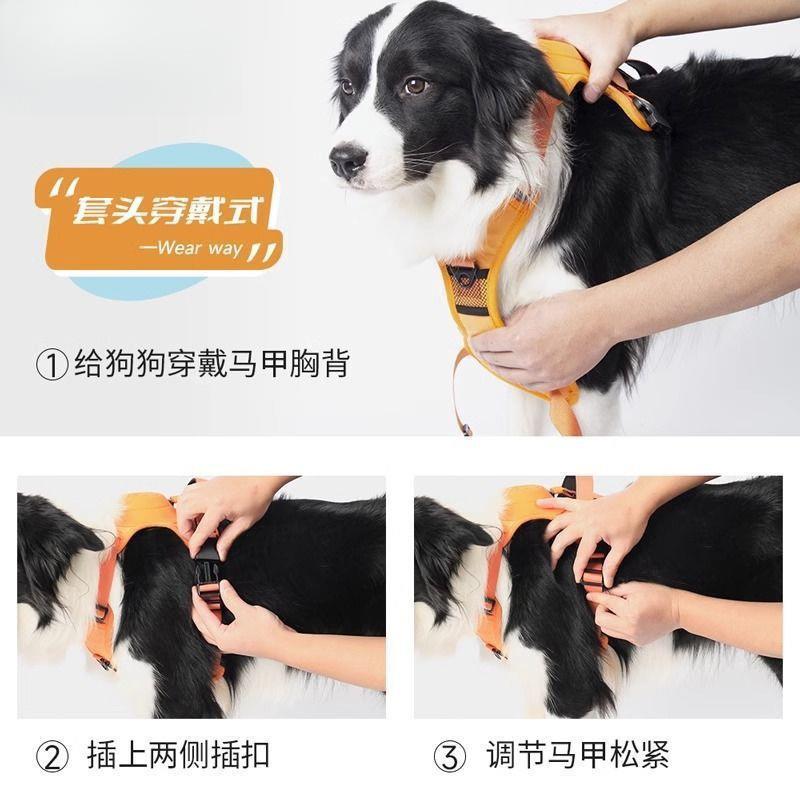 狗一狗牵引绳胸背体可WOC伸缩型遛狗绳中型大犬宠物背心式带背防