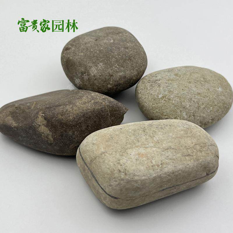 五彩色卵石园林铺路鱼缸装858黑色白色黄色抛饰鹅光雨花石