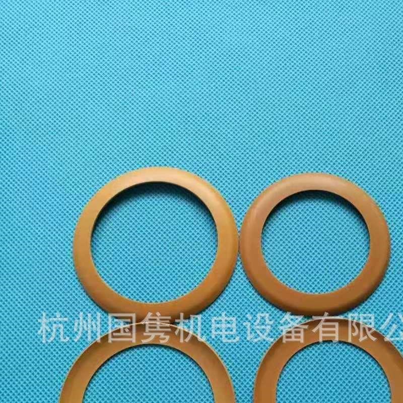 werther空压机C70/24用活塞环 密封圈