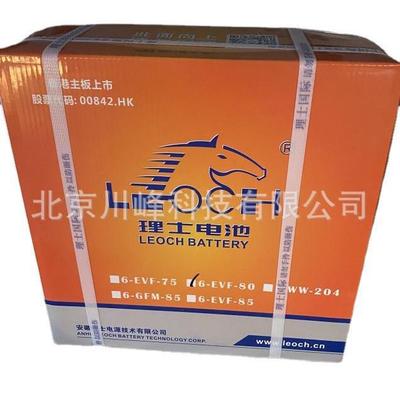 LEOCH理士6-GFM-125铅酸蓄电池适用于电动轿车