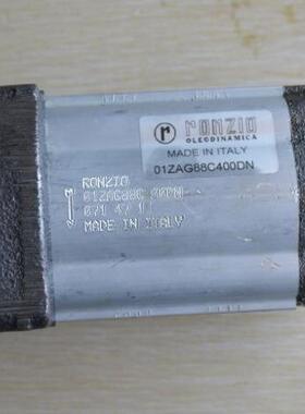 意大利RONZIO罗茨02ZAG060034PD全系齿轮泵液压马达选型参数